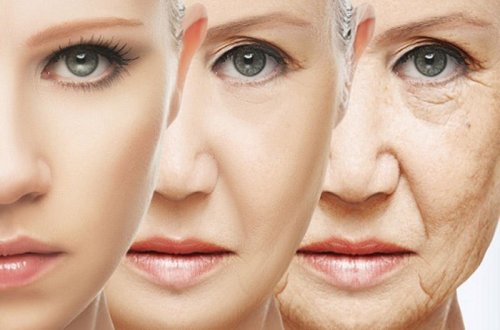 Qocalmanın qarşısını alan 3 ÜSUL - Alimlərdən MÖHTƏŞƏM ARAŞDIRMA