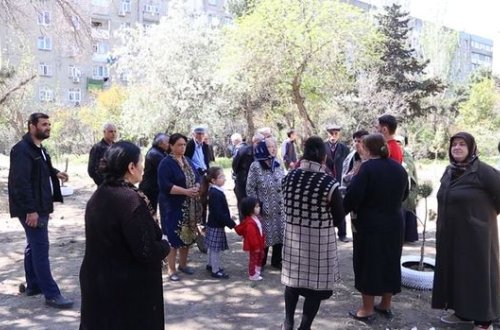 “Yaşıl soyqırımı”: İşıqları söndürüb ağacları kəsdilər - VİDEO