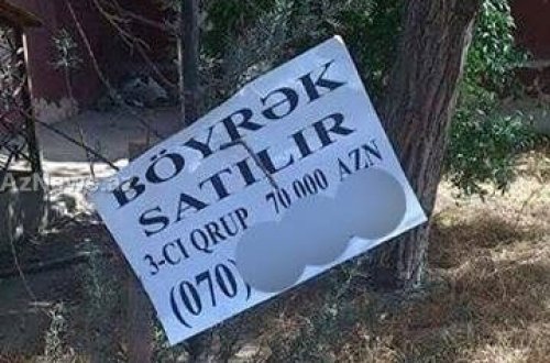 Böyrəklərini satan şəxslərin ŞOK İFADƏLƏRİ - 27 zərərçəkmişin olduğu cinayət işində yeni detallar