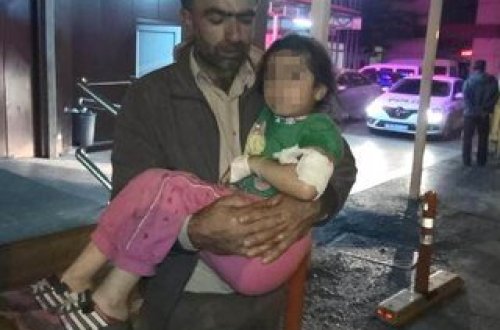 İki it 5 yaşlı qızın üstünə hücum çəkdi, dişlədi - Dəhşətli görüntü anbaan kameralarda - video