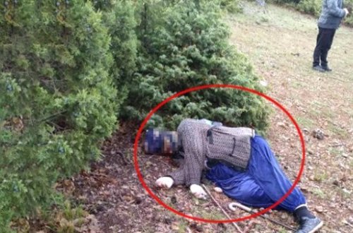 Qoyunları otarmağa gedən qadının cəsədi tapıldı - FOTO