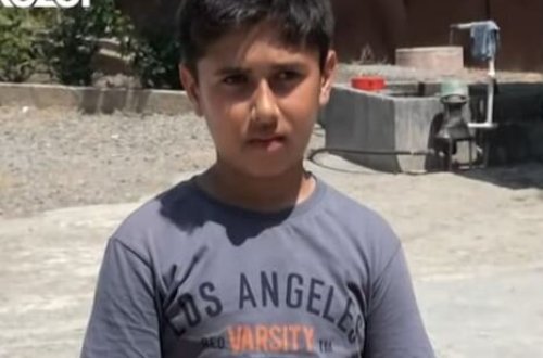 11 yaşlı uşağı sahibsiz it dişlədi, xəstəxanada vaksin tapılmadı – Video