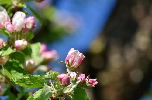 Sabaha olan hava proqnozu