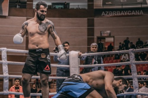 Kung-Fu üzrə Azərbaycan çempionatı keçirilib-FOTO