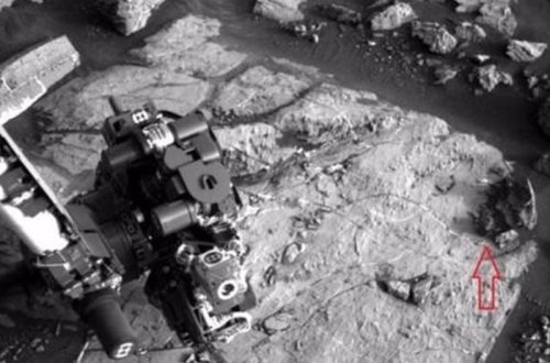 NASA-nın insanlardan gizlətdiyi GERÇƏKLƏR: Marsda əslində hansı canlılar yaşayır? - FOTO