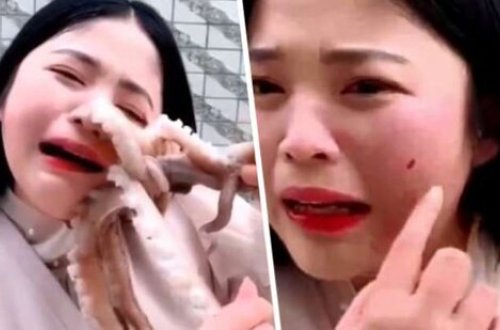 DƏHŞƏT! Canlı şəkildə yemək istədiyi dəniz heyvanı üzünü dişlədi - foto