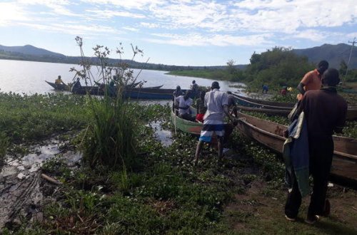 İki nəfəri timsah parçaladı - FOTO