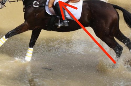 Увидев эту девушку на лошади, зрители задержали дыхание - ВИДЕО