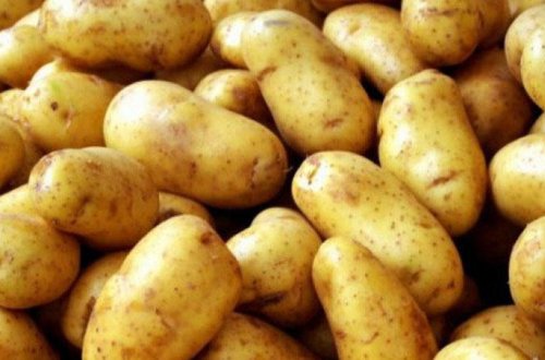 Bu kartoflar insanı ZƏHƏRLƏYİR - Mütəxəssislərdən VACİB XƏBƏRDARLIQ
