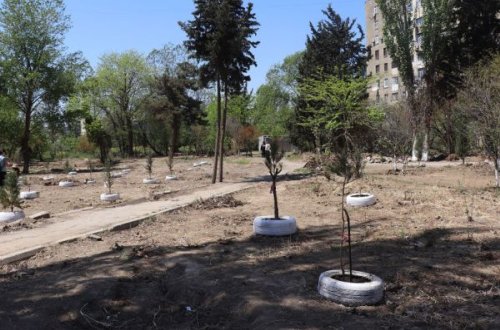 Sahibkar: “Ay Hacıbala, sənə 1000 manat verdim, sonra 5000 manat istədin” (FOTOLAR)