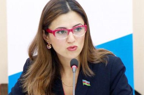 Ermənistan həqiqətən sülh istəyirsə, bunu etməlidir - Sevinc Fətəliyeva