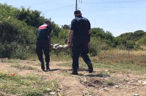 Dənizdə üzərkən görün nə tapdı: Qadın... - Fotolar