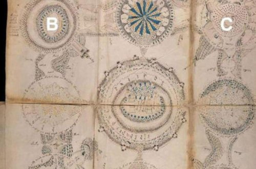 Dünyanın ən sirli kitabının şifrələri açıldı - Qadınlarla bağlı ŞOK FAKTLAR - FOTO