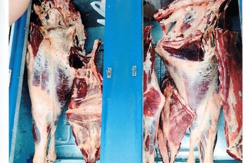 В цветочном магазине в Азербайджане обнаружено 100 кг опасного мяса - ФОТО