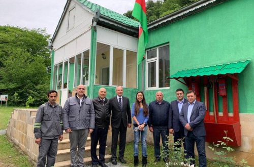 Лейла Алиева посмотрела на зубров – ФОТО