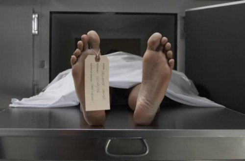 В штате Вашингтон разрешили перерабатывать тела умерших людей в компост