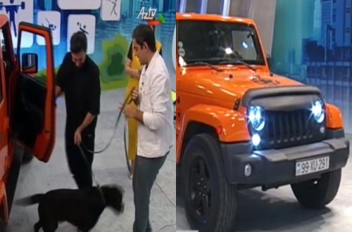 Çingiz AzTV-nin studiyasına avtomobili və iti ilə girdi - Video