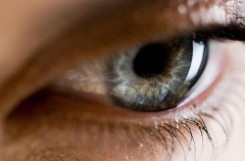 Более трех тыс. человек в Азербайджане ожидают трансплантации роговицы