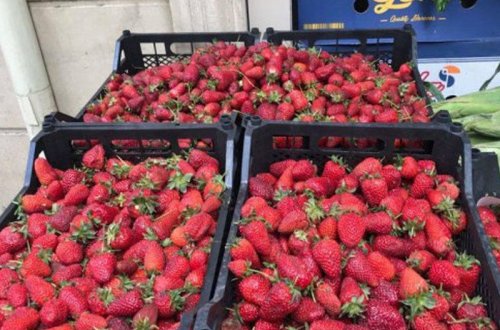 O hansı işdir ki, yüz min manat maya qoyub 160 min götürmək olar?! - ÖZÜ DƏ CƏMİ 3 AYA...