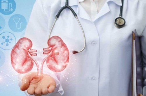 Böyrəyində problem olanlar, DİQQƏT! – BU YAZI SİZİN ÜÇÜNDÜR