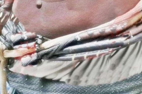 Gənc oğlan ölən ailəsinin bağırsağını görün nə etdi - FOTO