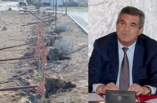 Qaradağ icra başçısı “Qarabağ şəhidləri”nin hasarını dağıtdı (FOTOLAR)