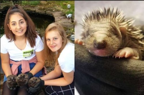 İNANILMAZ! 13 yaşlı qızlar yaşıdlarının ağlına gəlməyəcək bir iş gördülər