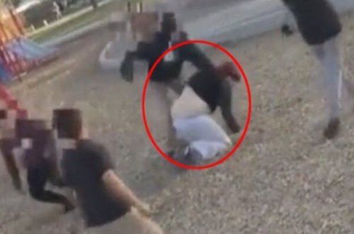 Uşaqlar parkda dəhşət saçdı - VİDEO