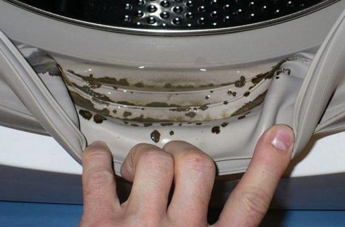 Paltaryuyan maşını kifdən qorumağın ən sadə üsulu