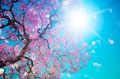 29 dərəcə isti olacaq- Sabah hava PROQNOZU