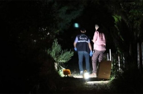 Gecə məzarlıqda itlərini axtaran uşaqlar ŞOK MƏNZƏRƏ ilə qarşılaşdı - VİDEO