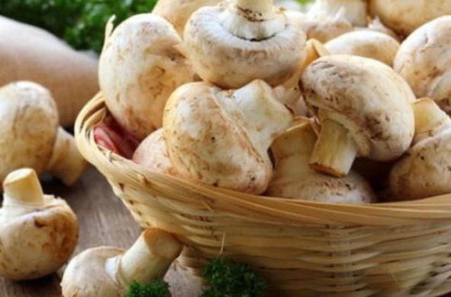 Mütəxəssislərdən ŞOK XƏBƏRDARLIQ: Meyvə, tərəvəzi, qarpızı və lobyanı...