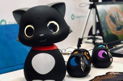 Çində robot pişik icad edildi - Video