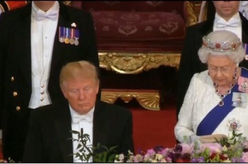 Tramp kraliçanın ziyafətində mürgülədi - VİDEO