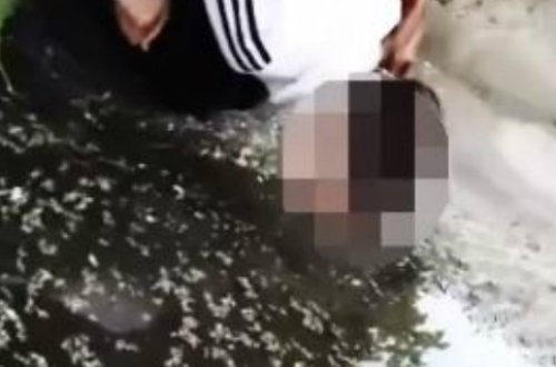 Банда школьниц заставила девушку пить из лужи - ВИДЕО