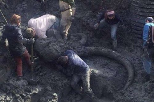 Ər və arvad tarlanı şumlayarkən tapdı - Bu tapıntı ölkədə ŞOK effekti yaratdı /FOTOLAR