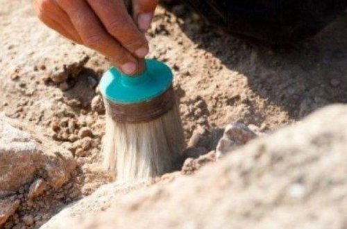 Во Франции нашли доисторический камень с рисунком лошадей