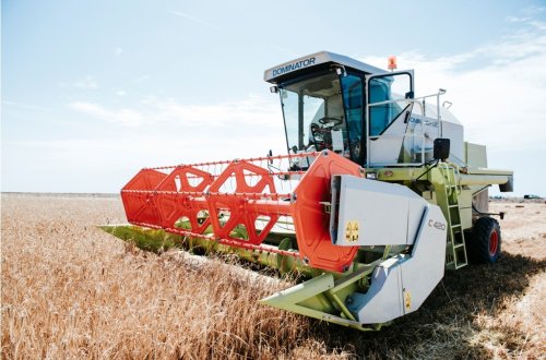 Respublika üzrə 120963,5 hektar sahədə taxıl biçini aparılıb