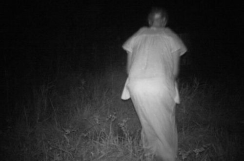 Qəribə varlıq peyda oldu - Gizli kamera ANBAAN ÇƏKDİ / Video