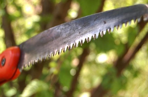 Kişi onunla yatmaq istəməyən sevgilisini öldürüb, sonra cəsədini zorladı - FOTO