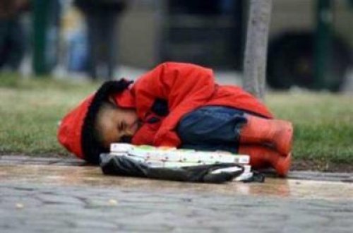 Dövlət Əmək Müfəttişliyinin rəisi: Uşaq əməyindən sui-istifadə hallarına ən çox avtoyuma məntəqələrində, ictimai nəqliyyatda və şadlıq evlərində rast gəlinir