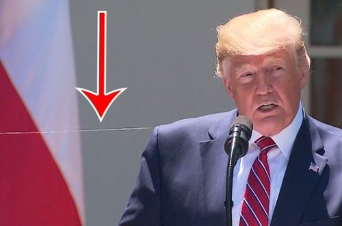 Hörümçək ABŞ və Polşa prezidentlərinin mikrofonlarını “birləşdirdi” - VİDEO