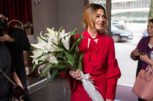 Gənc rəssam Pakizə Əliyevanın sərgisi keçirilib- FOTOLAR
