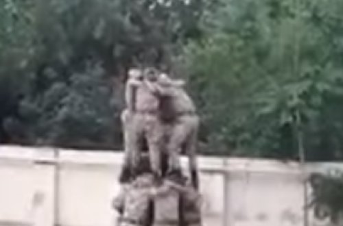 Hamı Salyandakı bu 