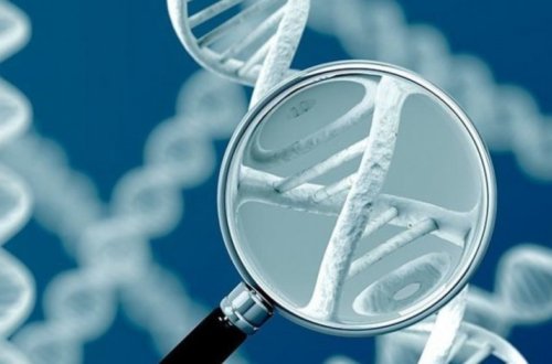 Врачи выяснили, может ли рак передаваться по наследству