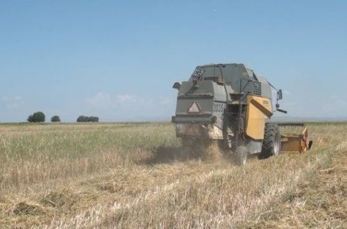 34-летний мужчина попал под комбайн