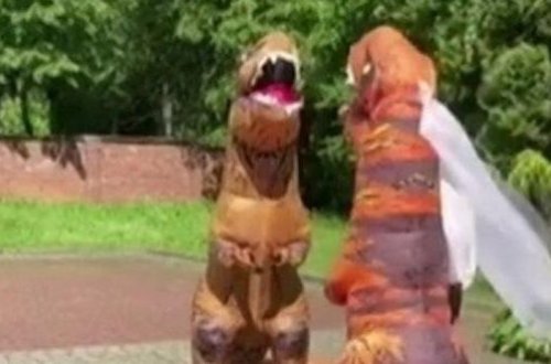 Bəy-gəlin toya dinozavr qiyafəsində gəldi - VİDEO