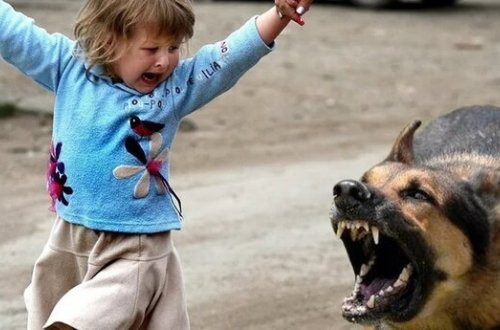 Azərbaycanda DƏHŞƏT - Ana özünü körpəsini parçalayan itin qarşısına atdı