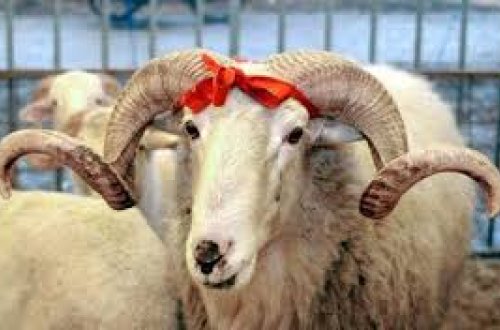 Azərbaycanda Qurban bayramı bu tarixdə qeyd olunacaq — AÇIQLANDI