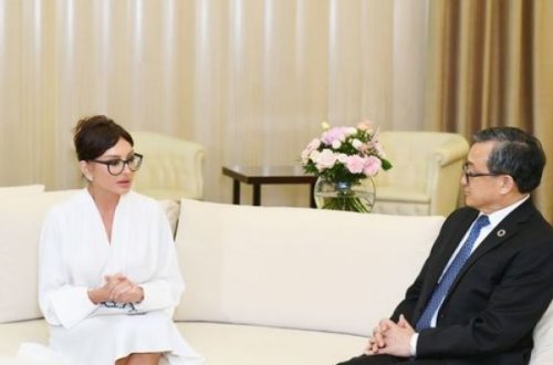 Mehriban Əliyeva BMT Baş katibinin müavini ilə görüşüb - FOTO